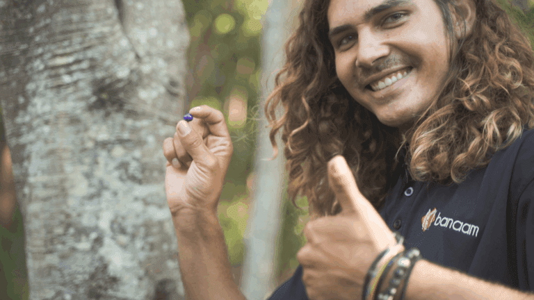 Banaam Cultural Intelligence NORTEC Alliance