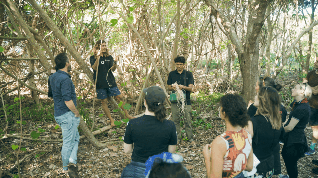 Banaam Cultural Intelligence NORTEC Alliance