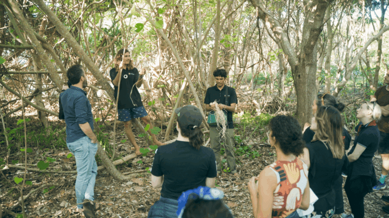 Banaam Cultural Intelligence NORTEC Alliance