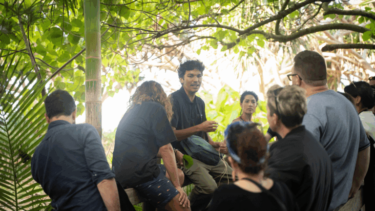 Banaam Cultural Intelligence NORTEC Alliance