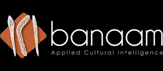 Banaam Cultural Intelligence NORTEC Logo