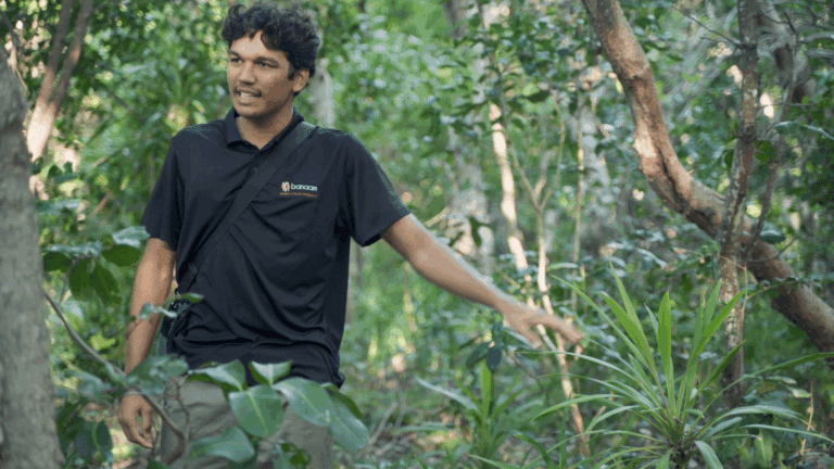 NORTEC manages and operates Banaam Cultural Intelligence