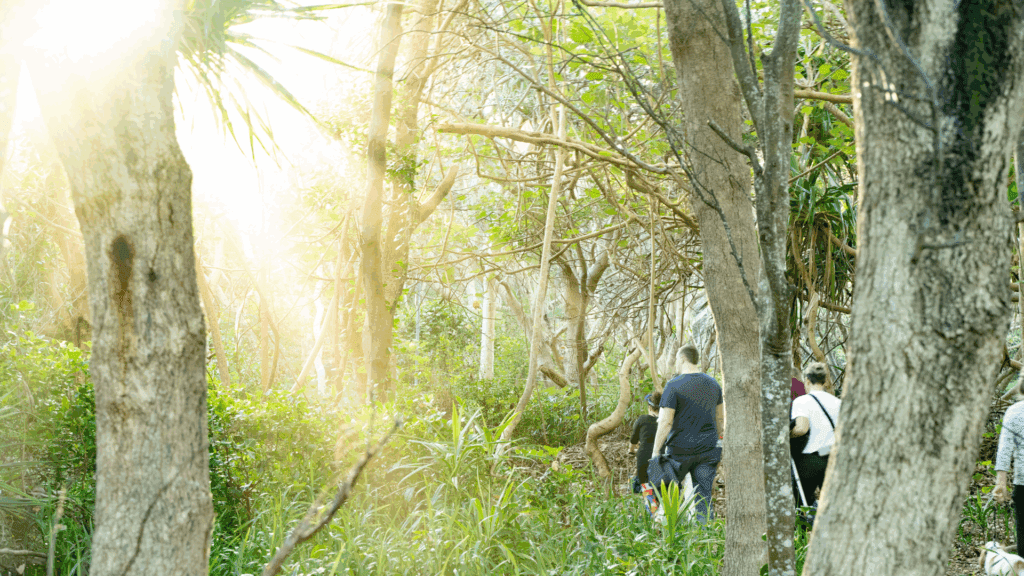 NORTEC is the engine room that drives sustainable growth on behalf of for-purpose enterprises.